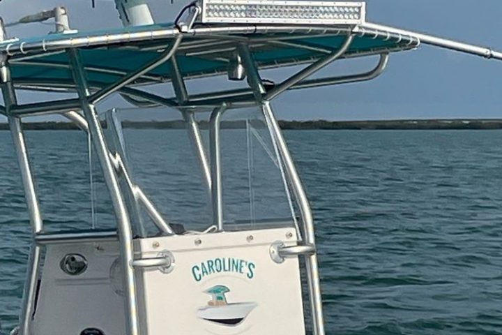 a boat on a body of water