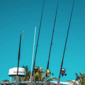 a close up of a bridge